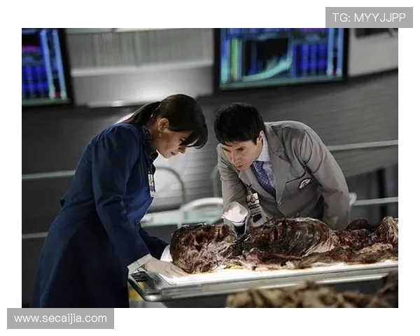 以接力赛隐喻追凶马拉松1979碎尸火车抛尸案全解析深度复盘记