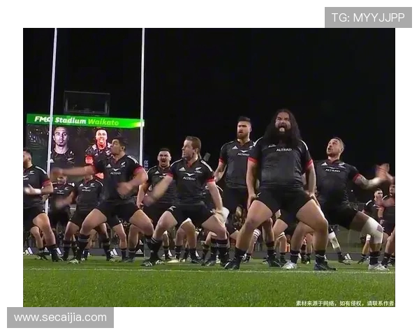 橄榄球世界杯全黑队哈卡舞