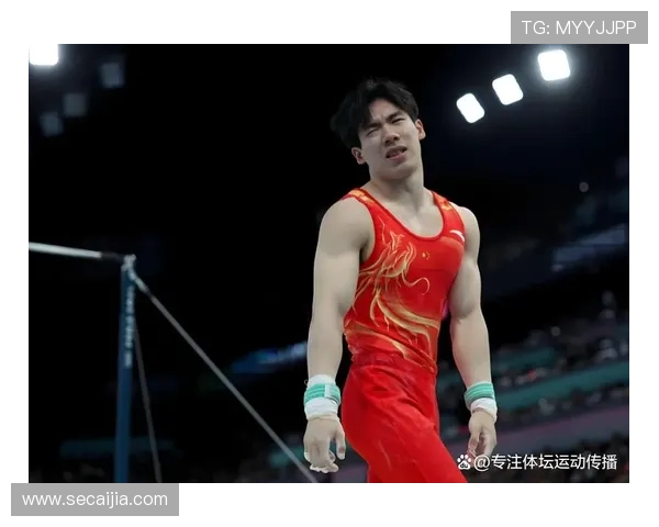 张博恒谈对体操艺术的领悟 张博恒谈对体操艺术的领悟